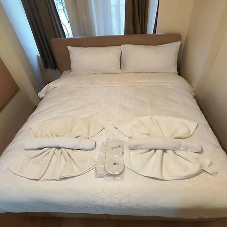 Akkarga - Master 이스탄불