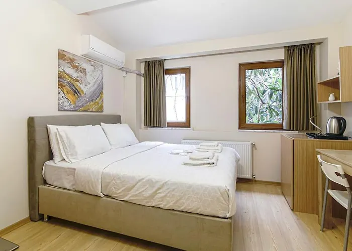 Akkarga - Master Διαμέρισμα Κωνσταντινούπολη