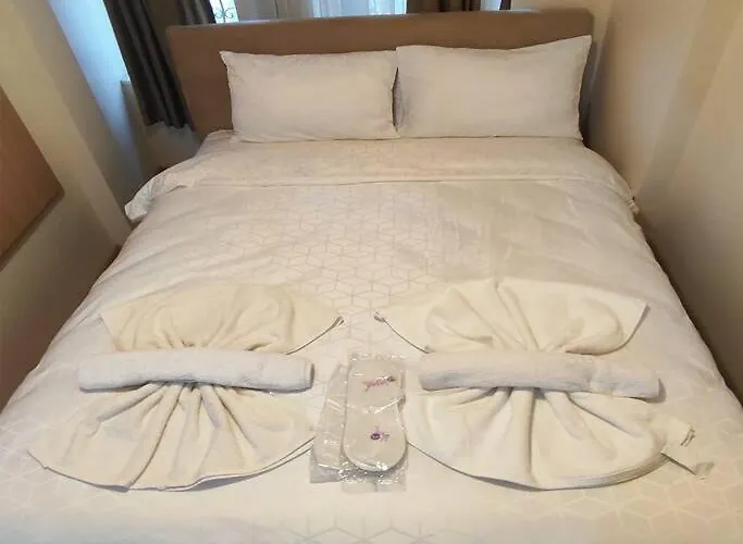 Akkarga - Master Istanbul